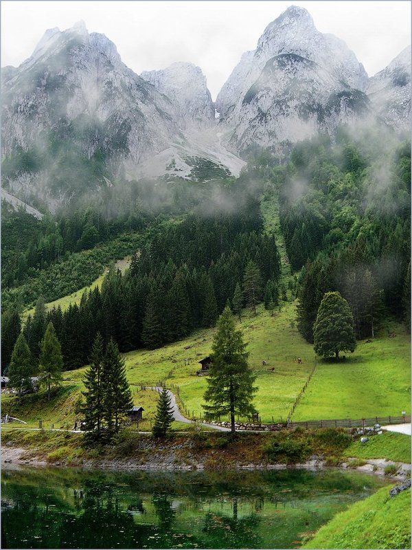 The Discreet Charm фото превью