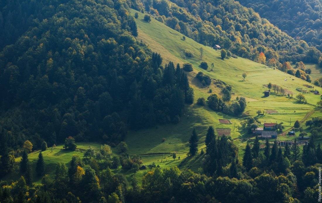 , Ярослав Тюрменко (Jaremi)