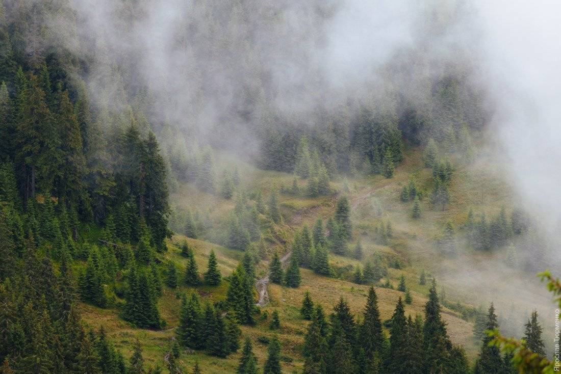 , Ярослав Тюрменко (Jaremi)