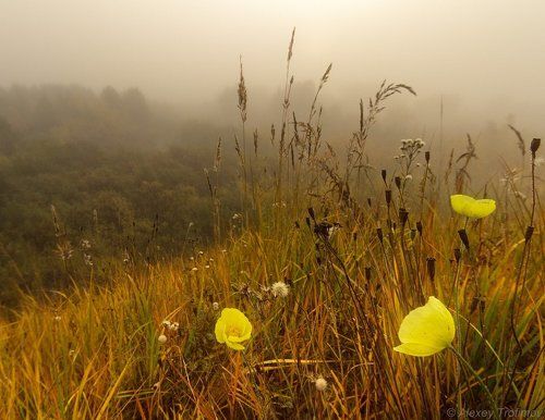 Короткой осени начало