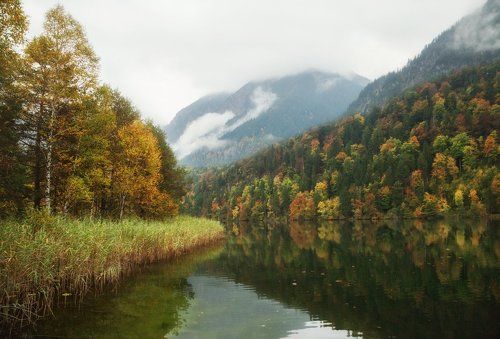 Сезон монотонных дождей