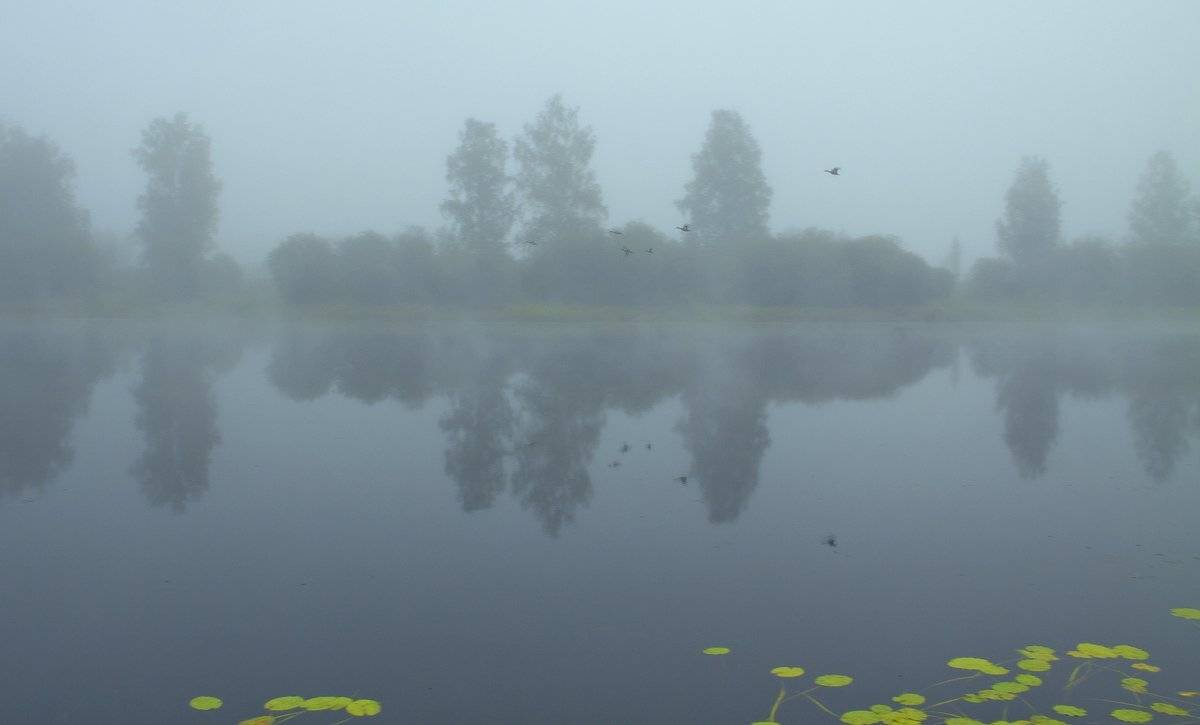 , Николай Морский