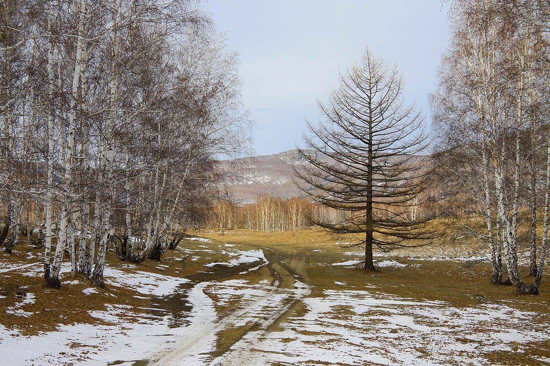 , Качурин Алексей