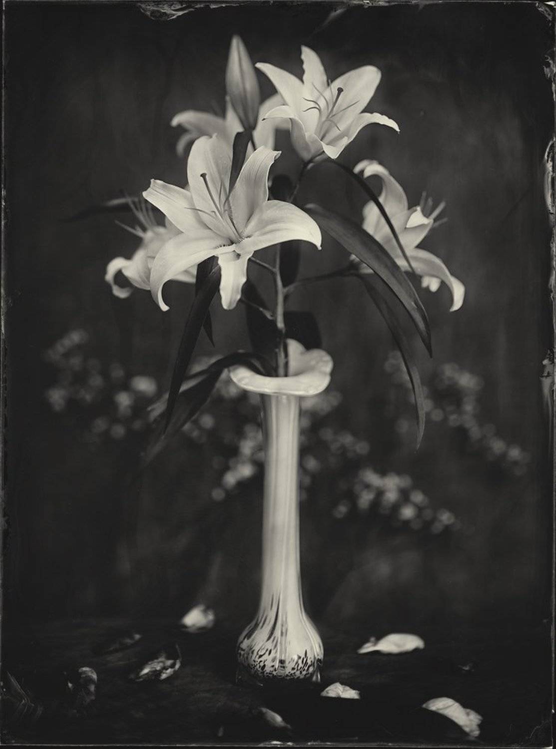 , Аз Дмитрий