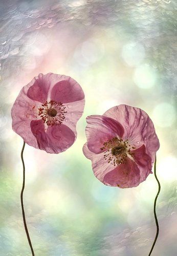 Поговорим?...