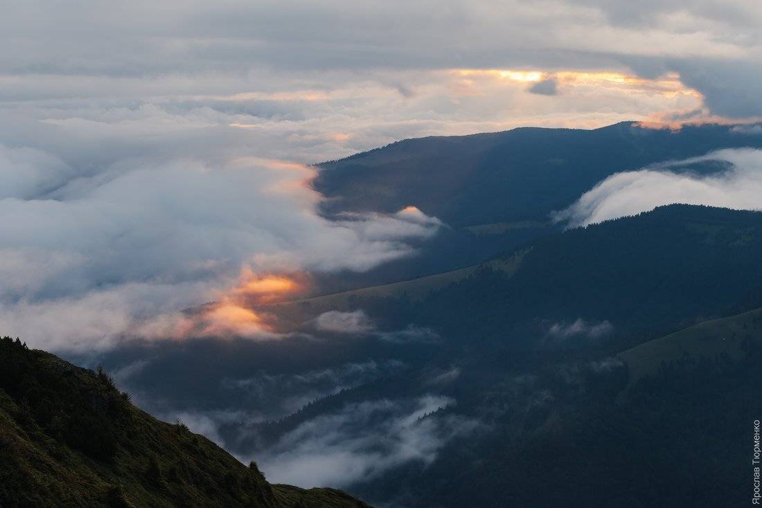 , Ярослав Тюрменко (Jaremi)