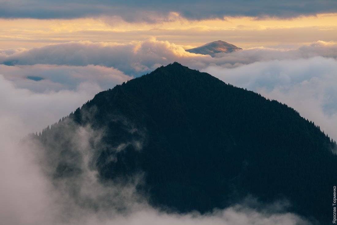 , Ярослав Тюрменко (Jaremi)