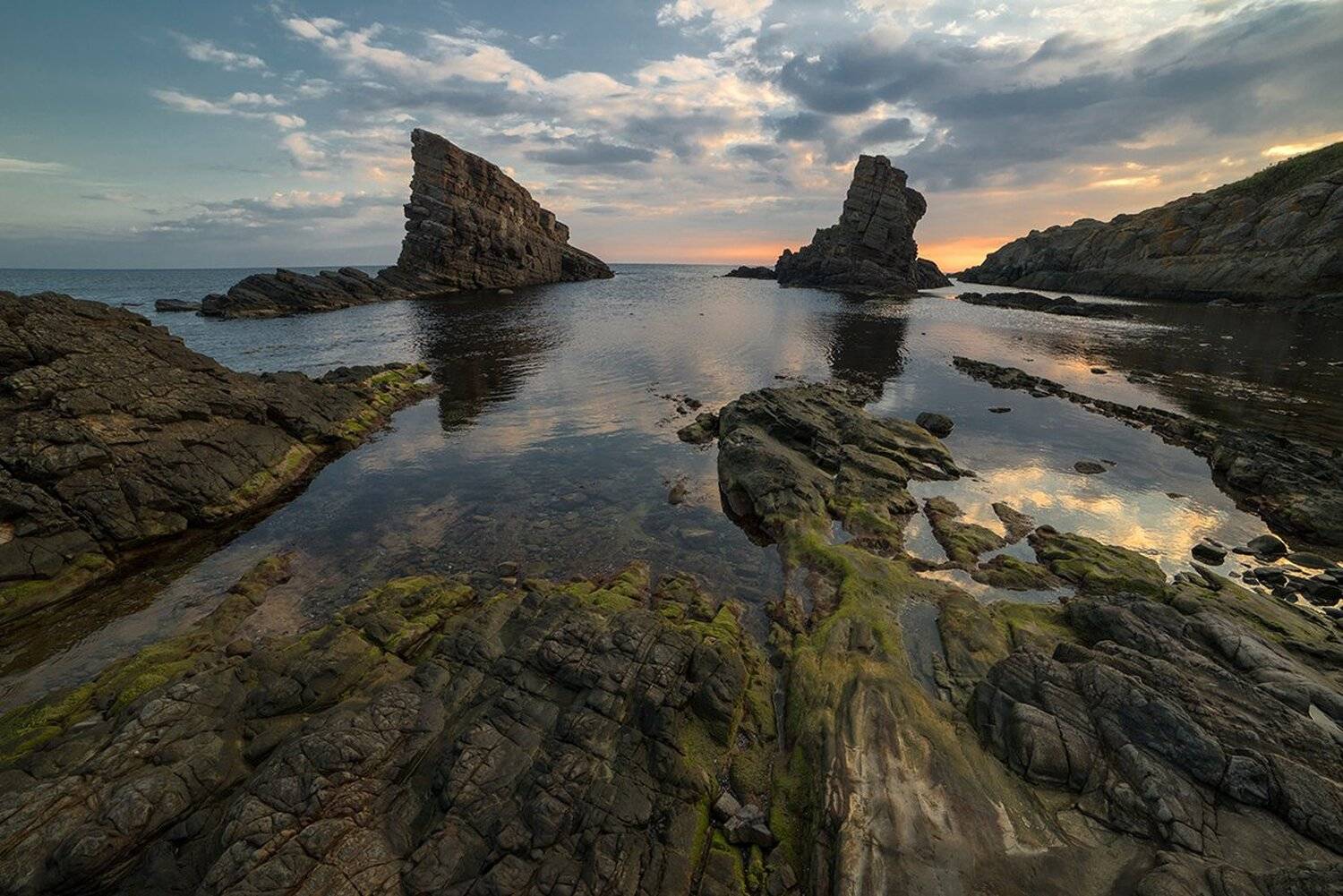 , Васил Анастасовски