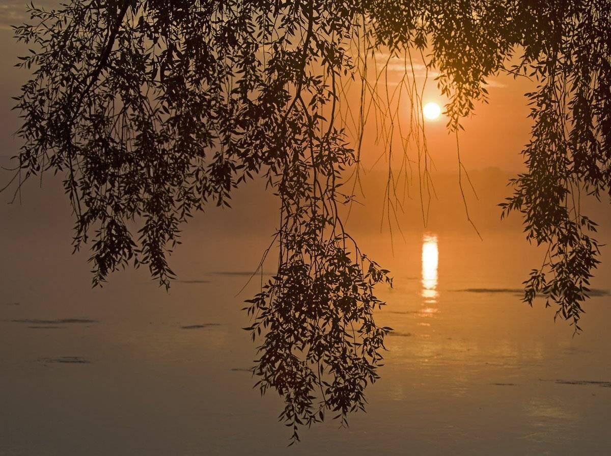 , Валерий Кондратов