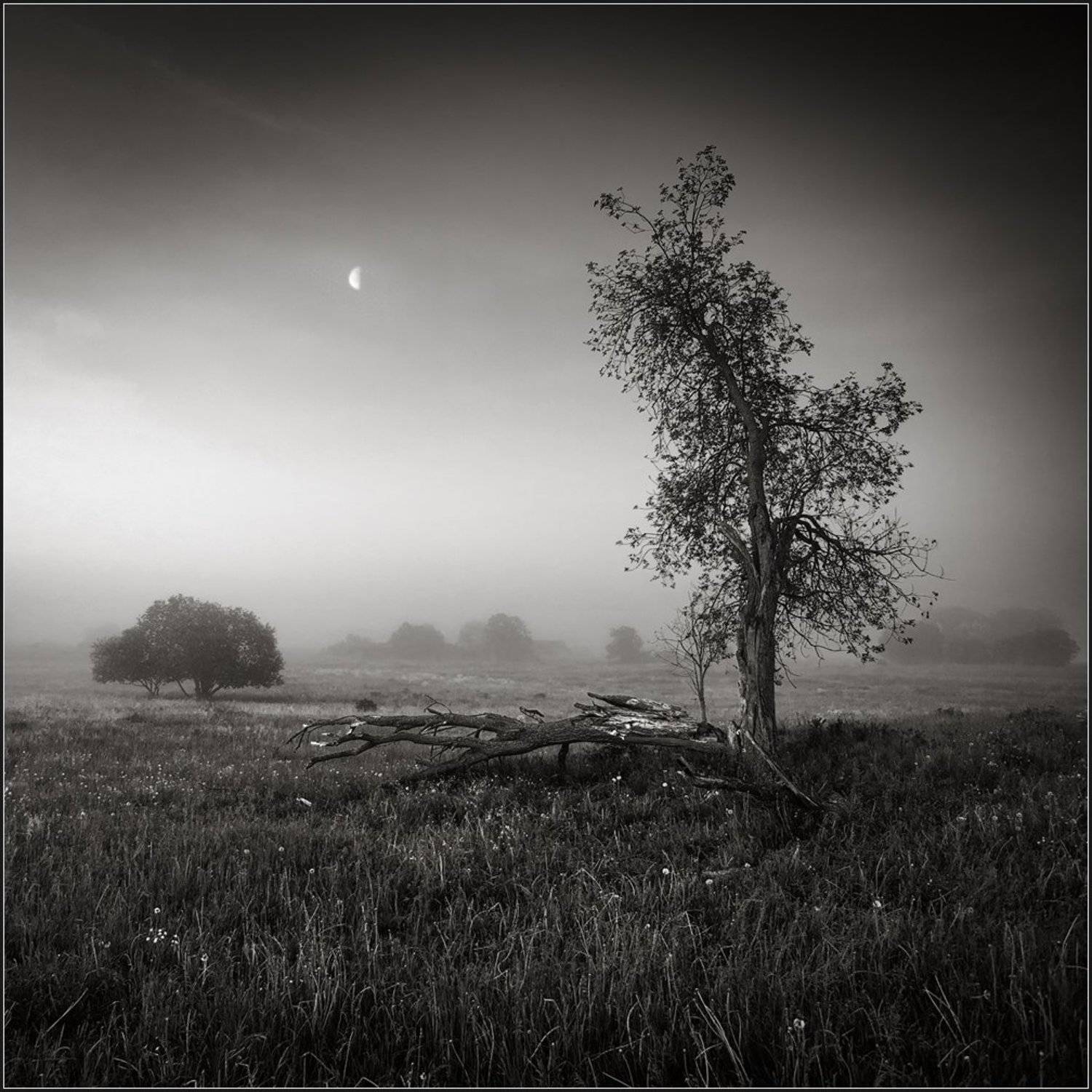 , Олег Дунаев