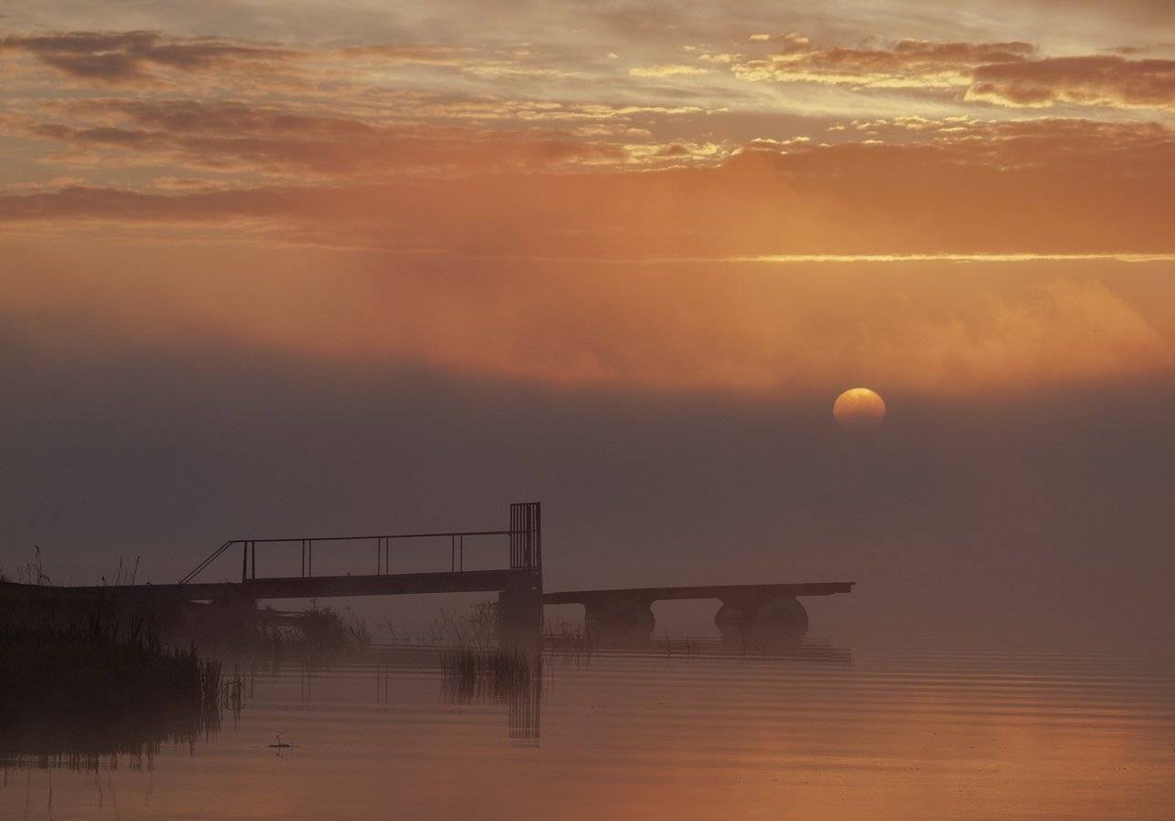 , Владимир Перепечаев