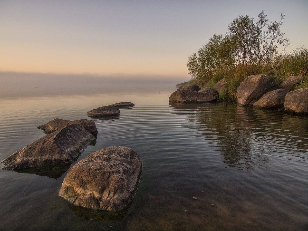, Марина Брыдня