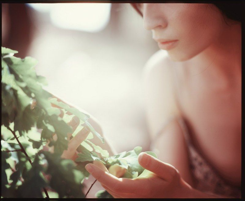 In the forest... фото превью