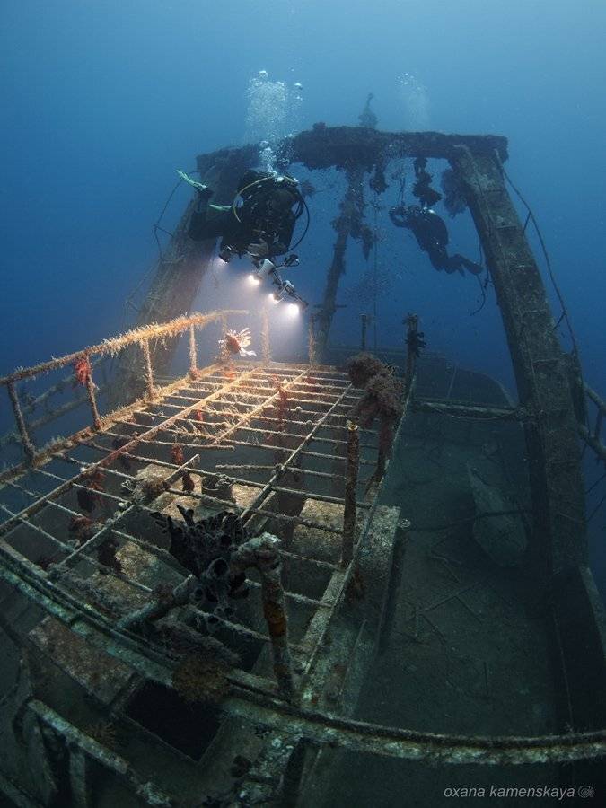 , Оксана Каменская