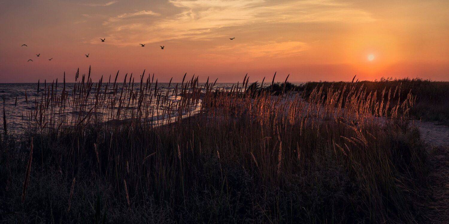 , Игорь Мелекесцев