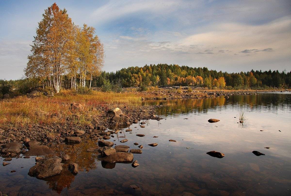 , Александр Коротков
