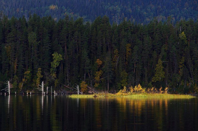 Золотой остров фото превью