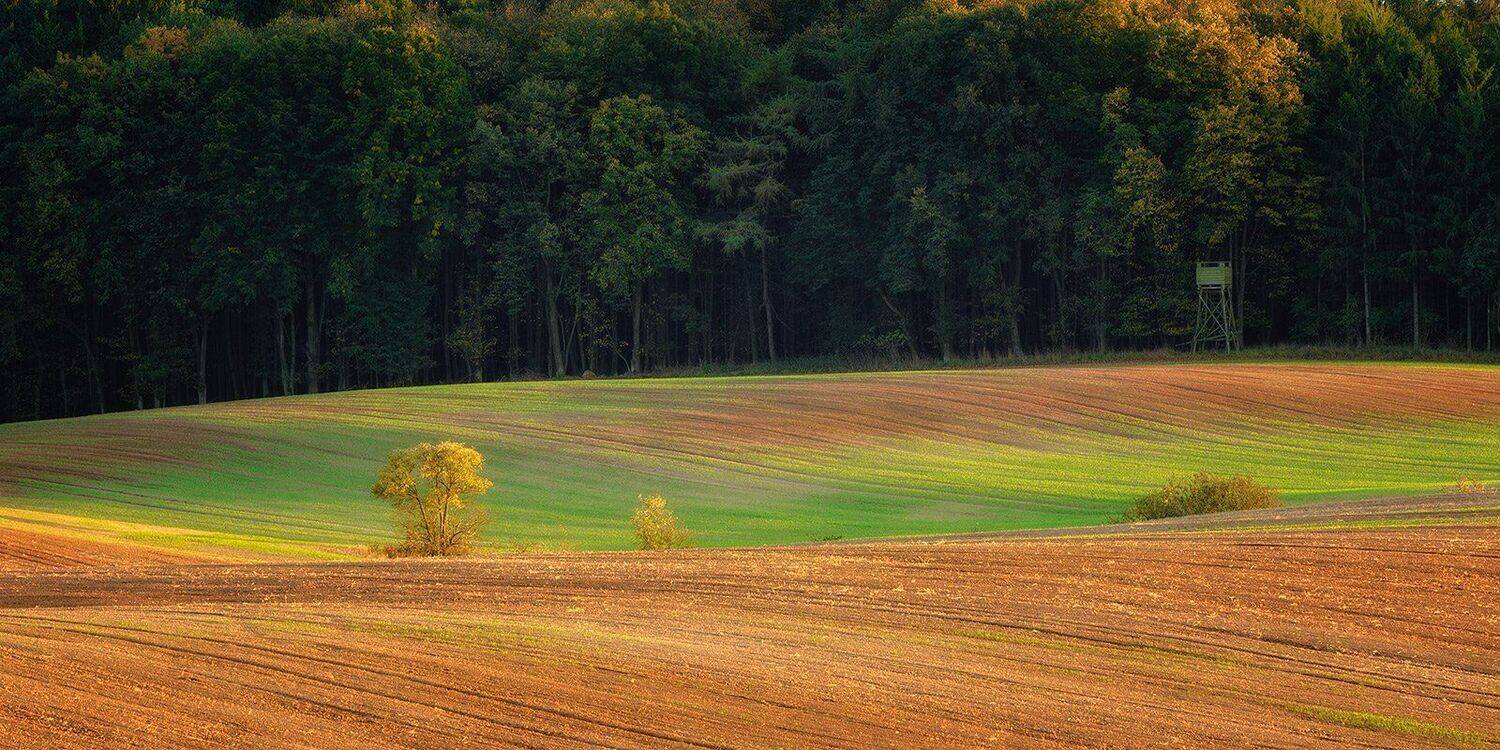 , Wojtek Kapuściński
