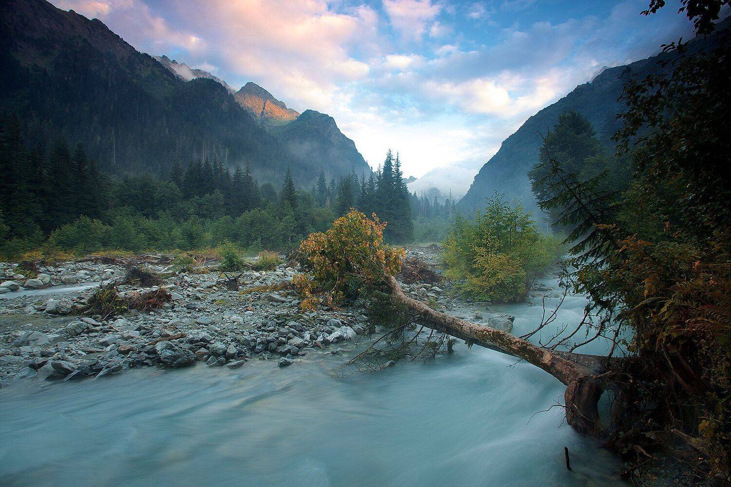 , Никифоров Егор