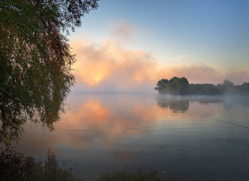 одно утро в тумане фото превью