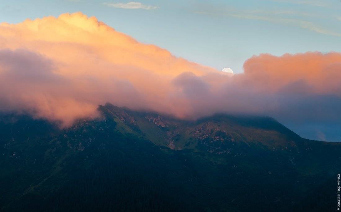 , Ярослав Тюрменко (Jaremi)