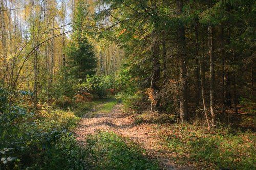 Осеннее настроение