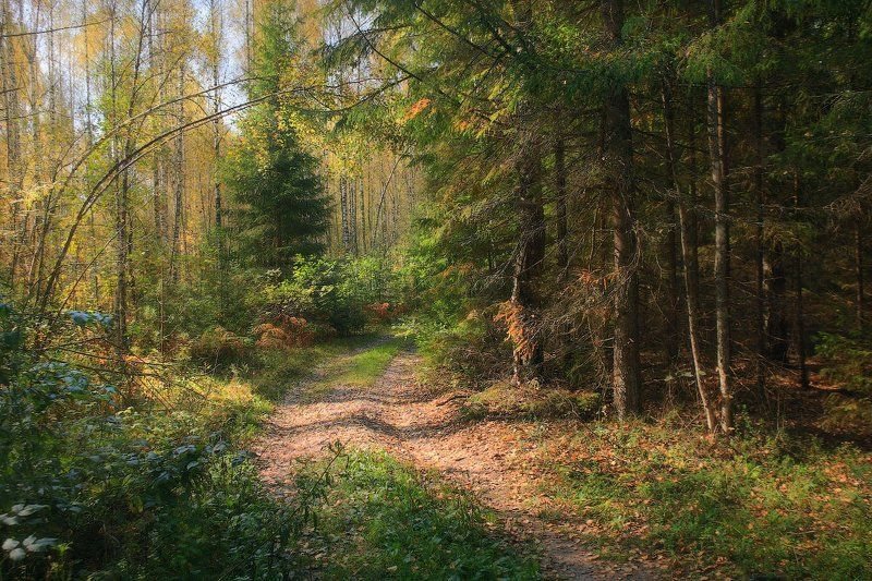 Осеннее настроение фото превью