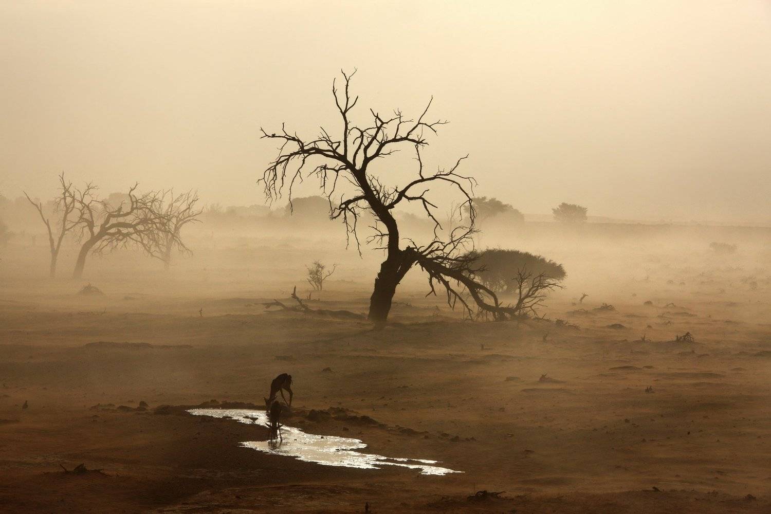 , Александр Перов