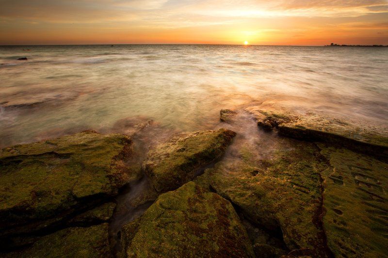 Florida, Sarasota фото превью