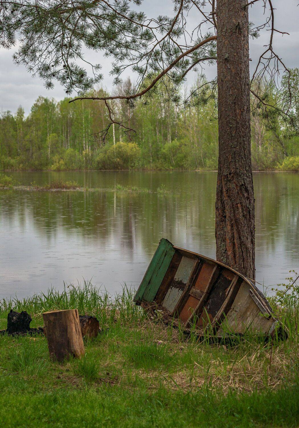 , Алексей Шуплецов