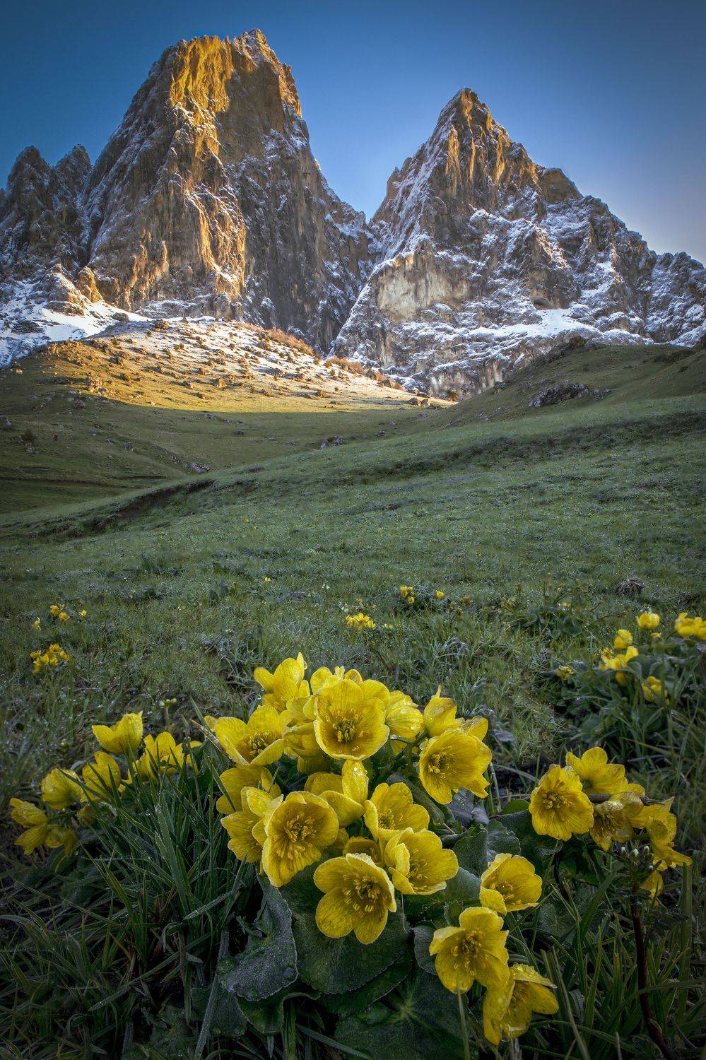 ингушетия, Гусева Елена