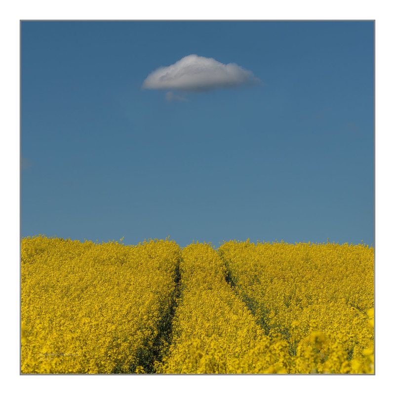 UFO фото превью