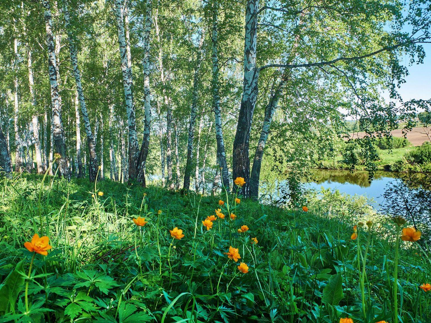 , Сергей Романчук
