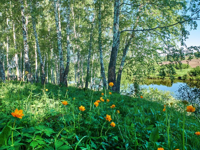 Ну вот и лето. фото превью