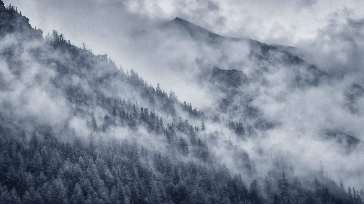 алтай, озеро, горы, лес, природа, закат, рассвет, красота, приключения, путешествие, Шевченко Николай