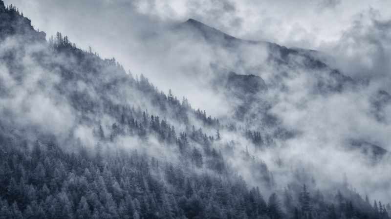 алтай, озеро, горы, лес, природа, закат, рассвет, красота, приключения, путешествие Окутало горы туманом фото превью