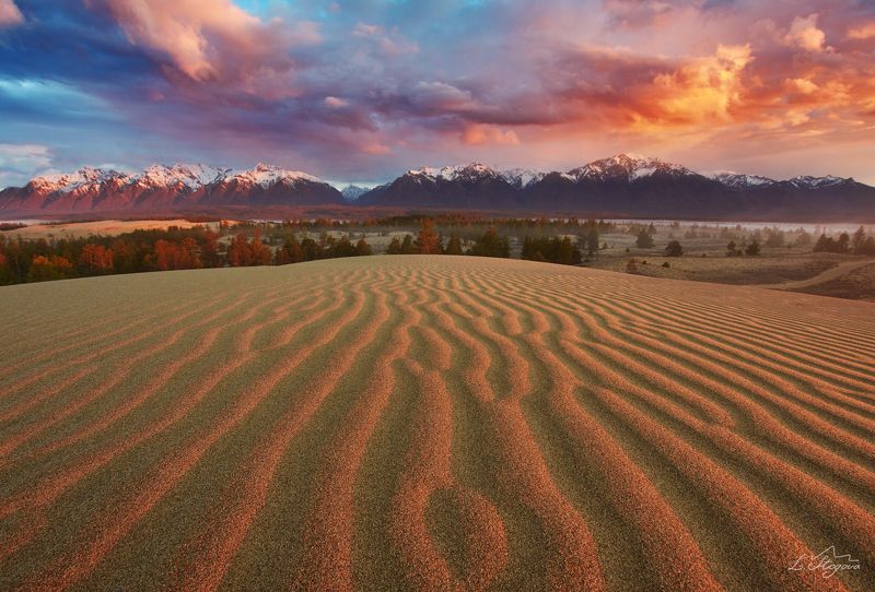 пустыня Моя любимая пустныя фото превью