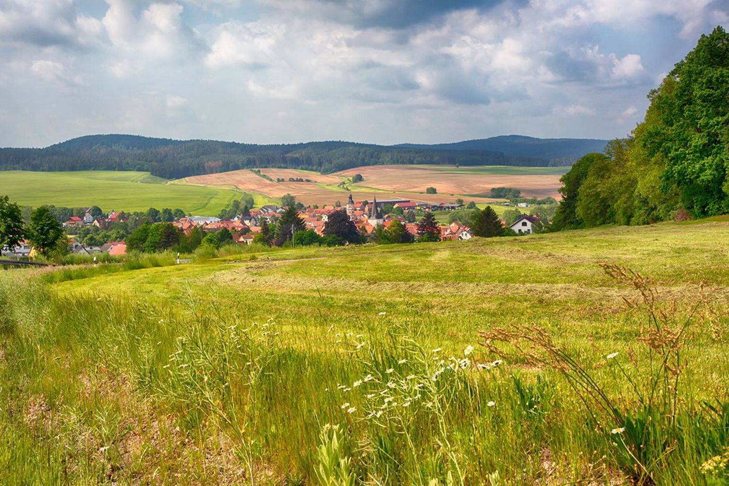 , Игорь Дубровский