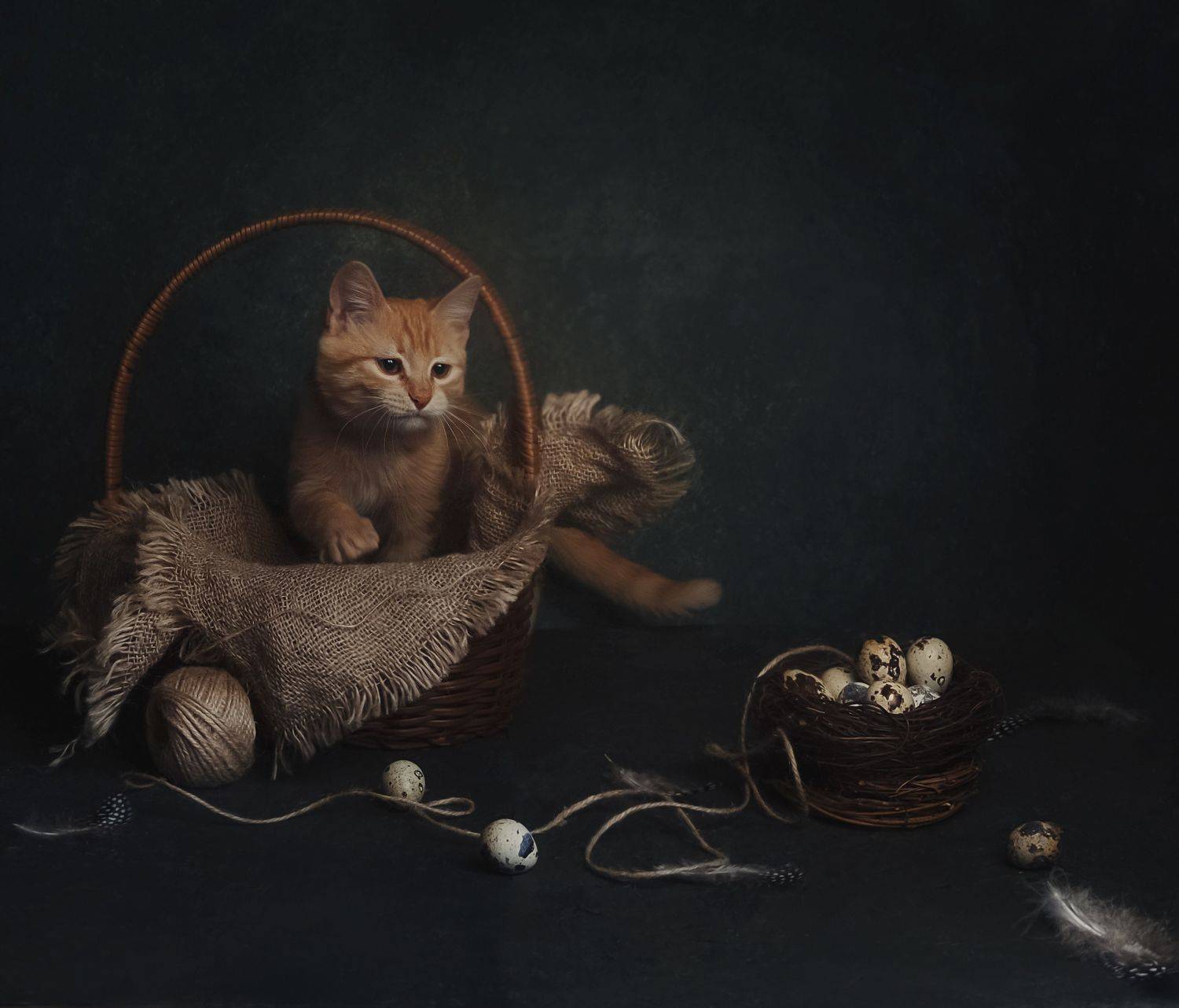 , Виктория Шаманова