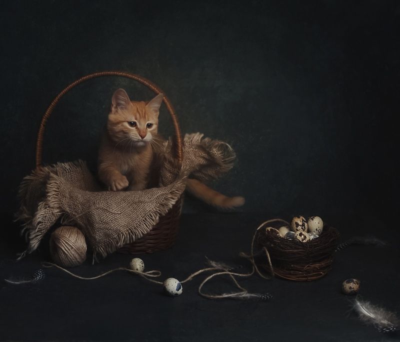 фото превью