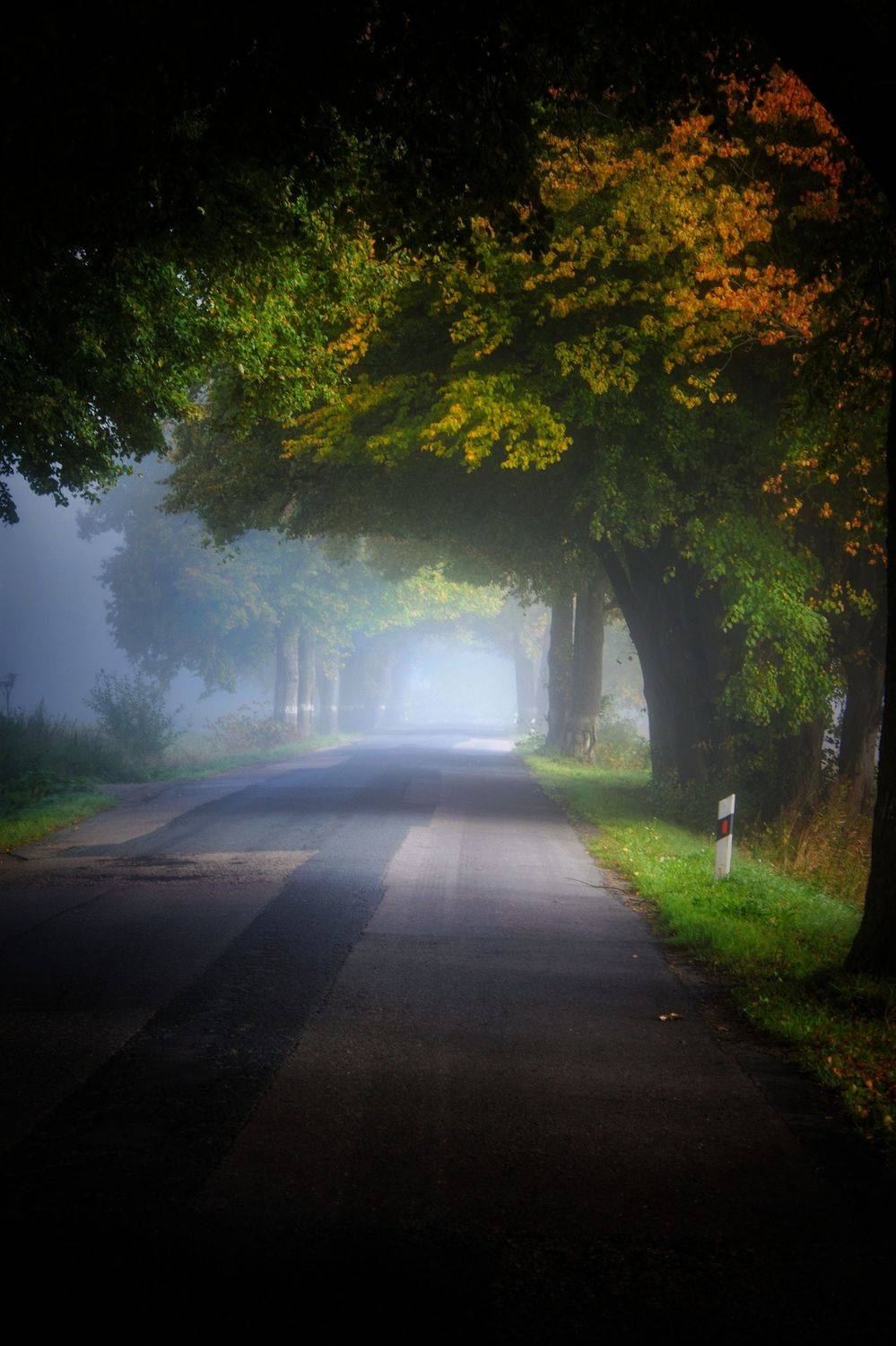 , Татьяна Максакова