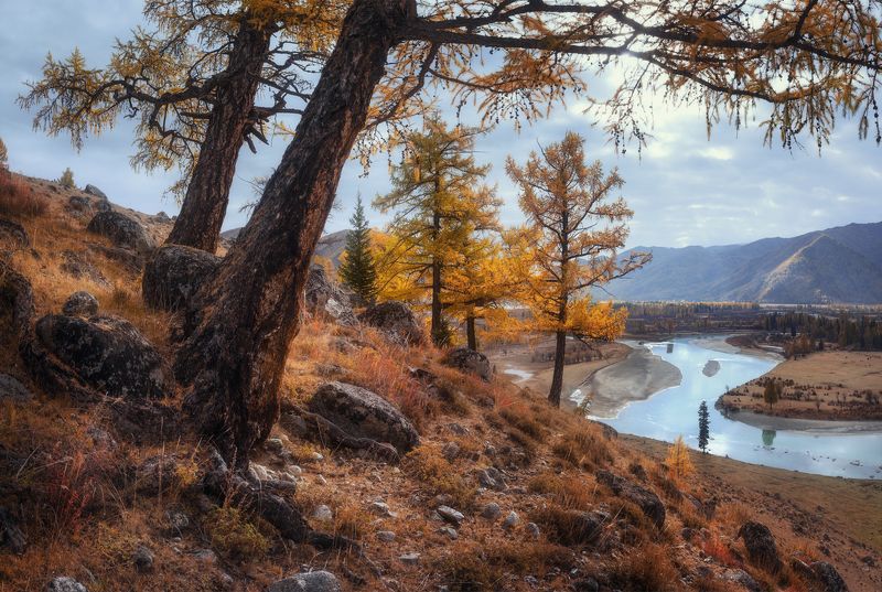Аргут, Алтай *** фото превью