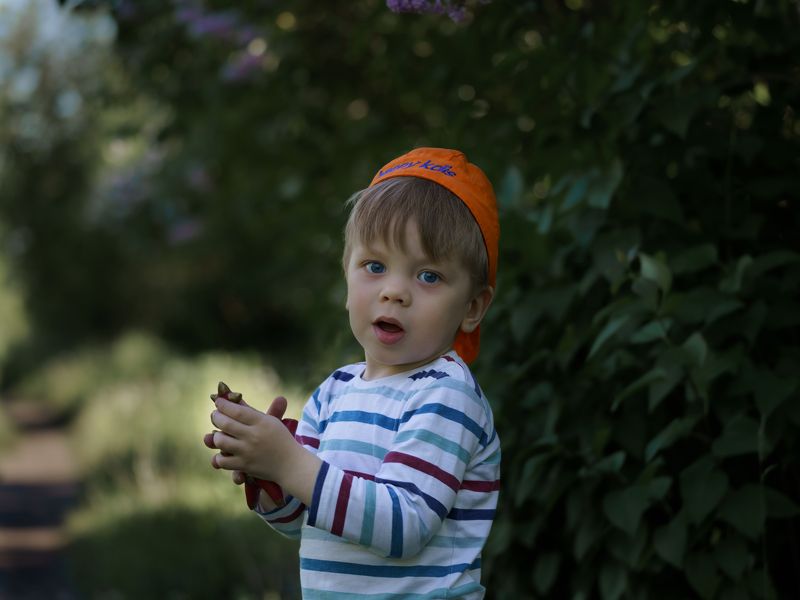 фото превью
