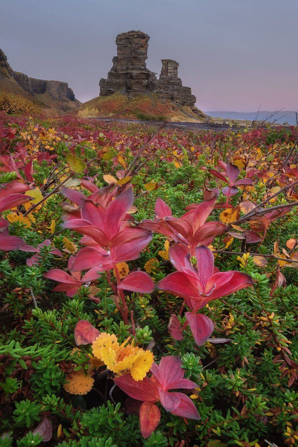 , Константин Маланин