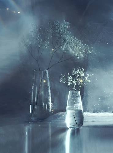Winter stil life