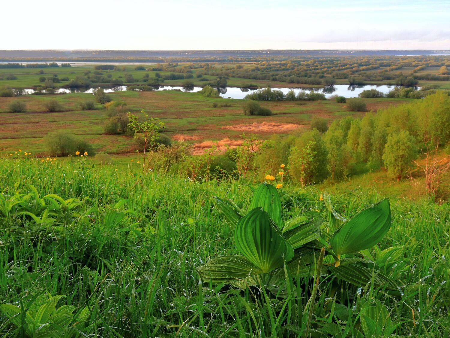 вечер, природа, закат, холм, трава, роса, свежесть, Титов Александр