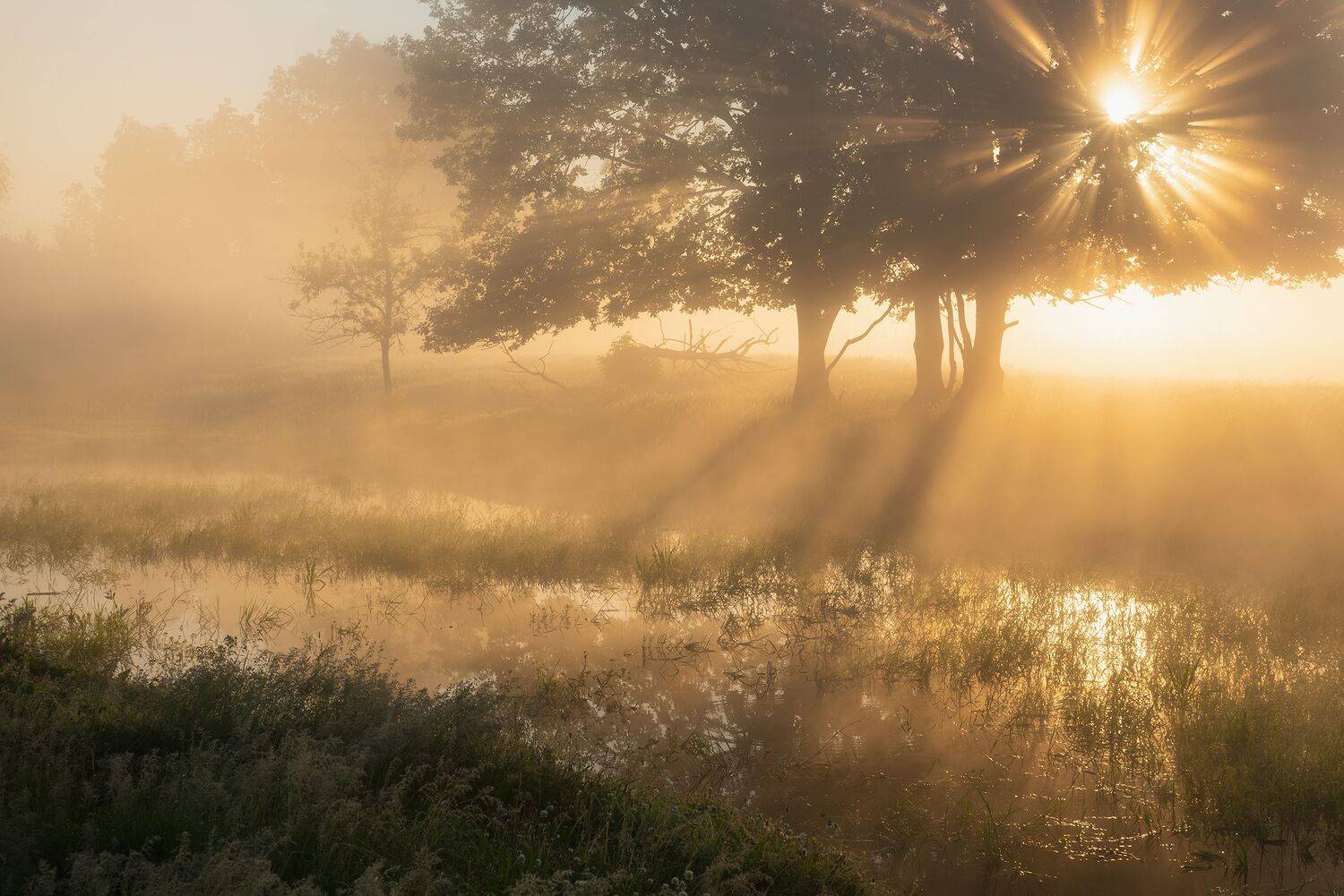 , Захаров Дмитрий