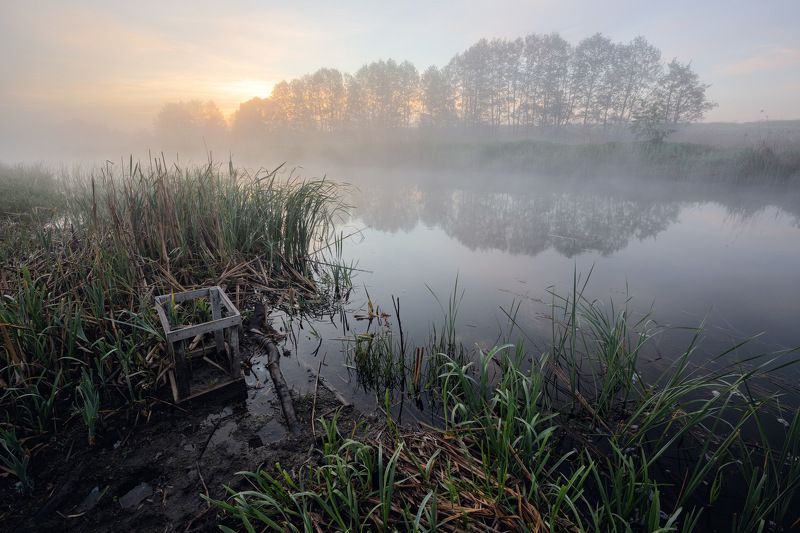 Июнь ранний фото превью