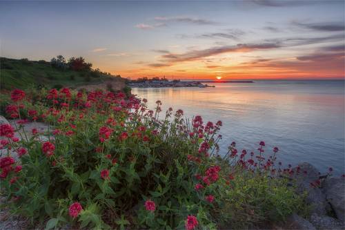 Севастопольский летний вечер