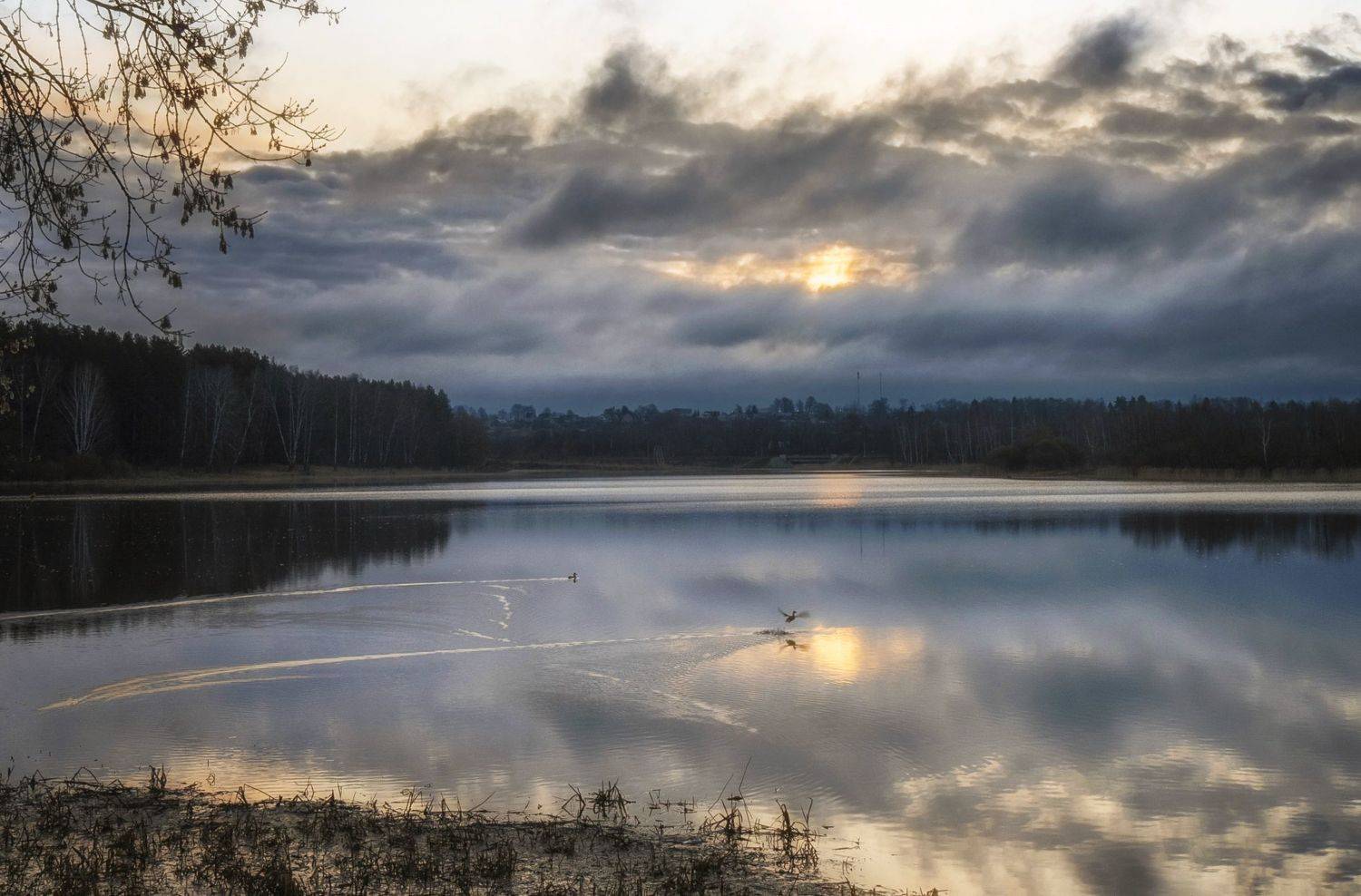 утро, залив, восход, Владимир Штыриков